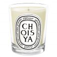 Choisya Candle