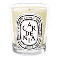 Gardenia Candle