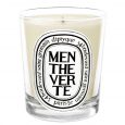Menthe Verte Duftkerze Diptyque
