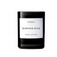 Burning Rose Candle