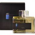 Palais Homme EdP Vapo