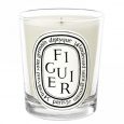 Figuier Candle Mini