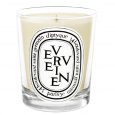 Verveine Candle Mini