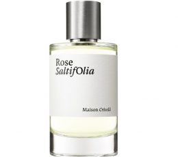 Rose Saltifolia 100 ml- Maison Crivelli