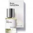 Rose Saltifolia E.D.P. Nat. Spray