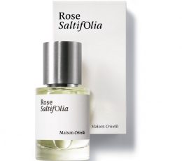 Rose Saltifolia 30 ml- Maison Crivelli