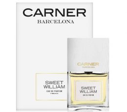 Sweet William Caner Barcelona#