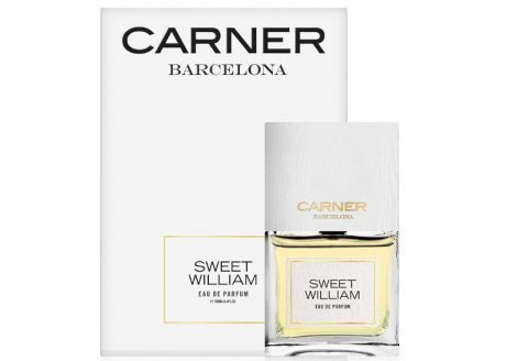 Sweet William Caner Barcelona#