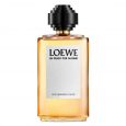 Descubriendo Colón - Loewe