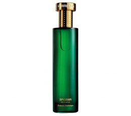 Spiceair 100 ml - Hermetica